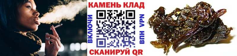 купить  сайты  Шлиссельбург  ГАШИШ Изолятор 