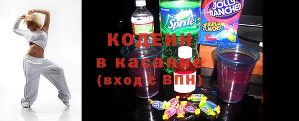 индика Абаза