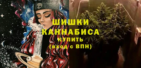 индика Абаза