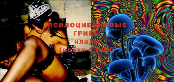 шишки Алексин