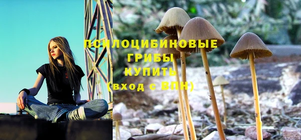 шишки Алексин