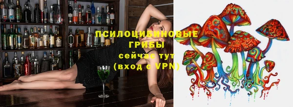 прущие крисы Алексеевка