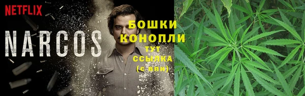 шишки Алексин