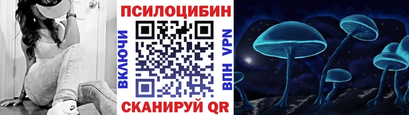 Галлюциногенные грибы Psilocybe  купить наркоту  MEGA рабочий сайт  Шлиссельбург 